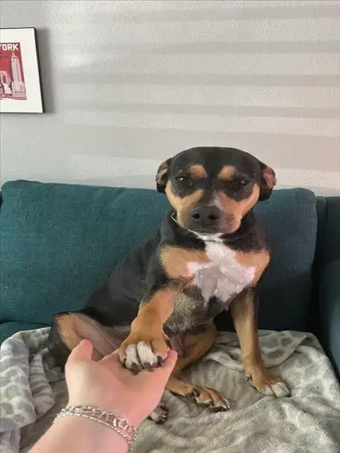 *Juno