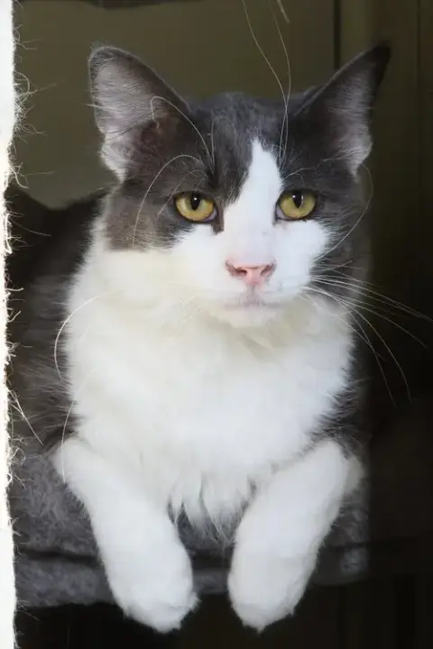 Fonzie photo 4