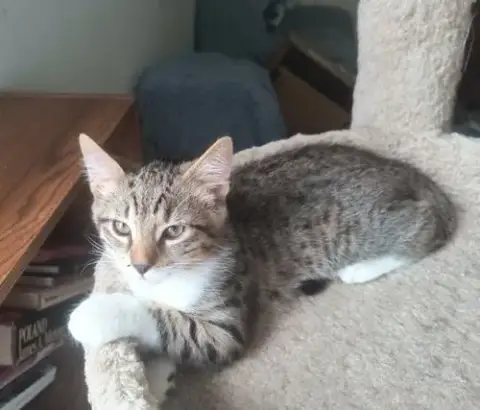 Colby Jack photo 2