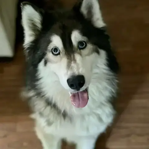 Bella