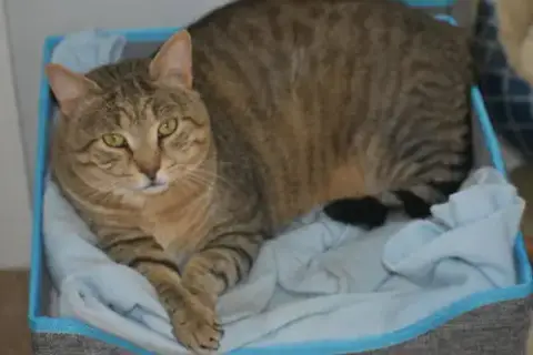 Rupert photo 3