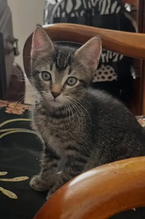 Tony