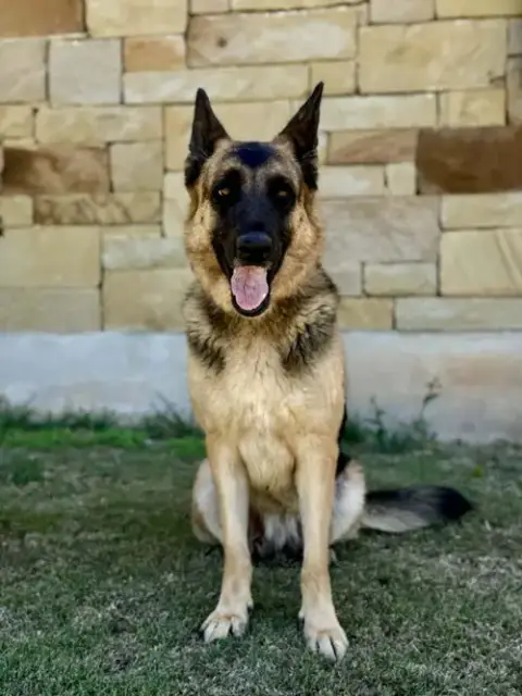Doja