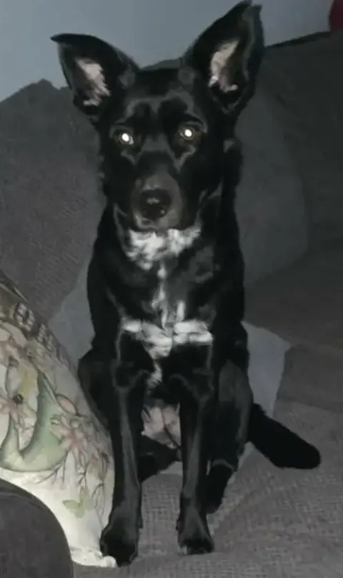 Luna photo 2