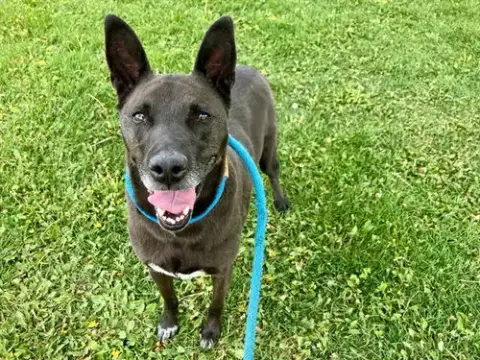 Luna