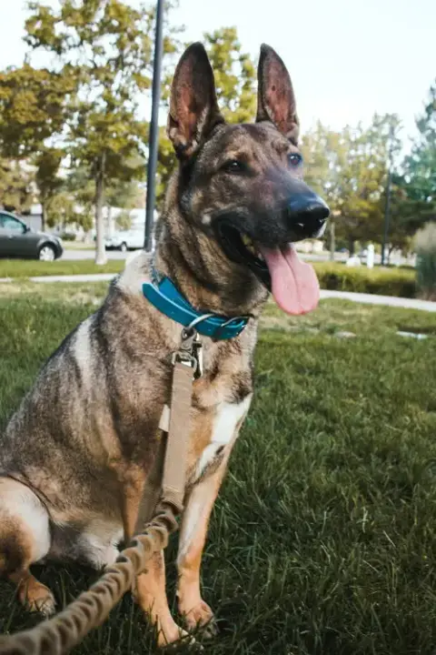 Zaxby photo 4