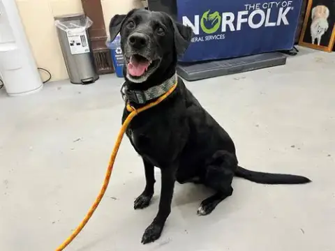 Opie