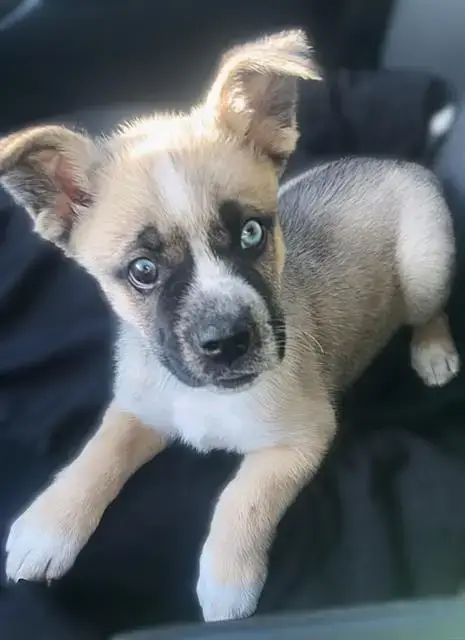 Sebastian