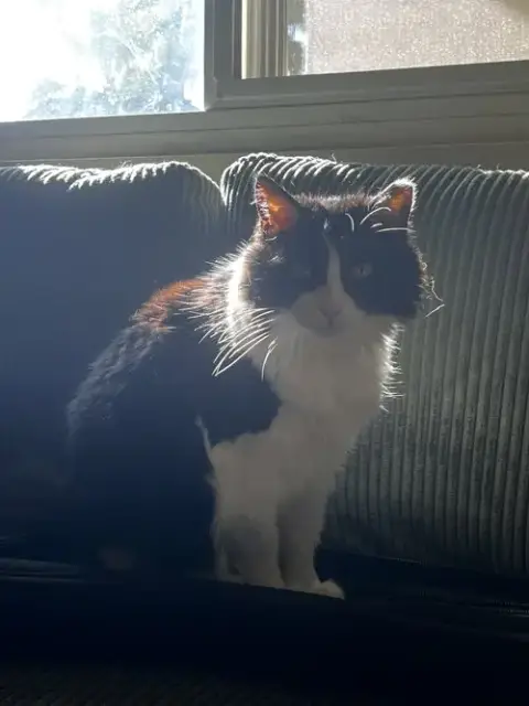Mabel photo 3