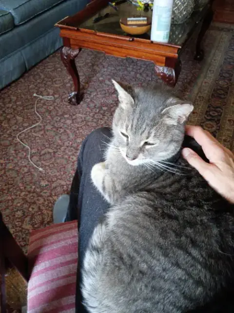 Snuggs photo 4
