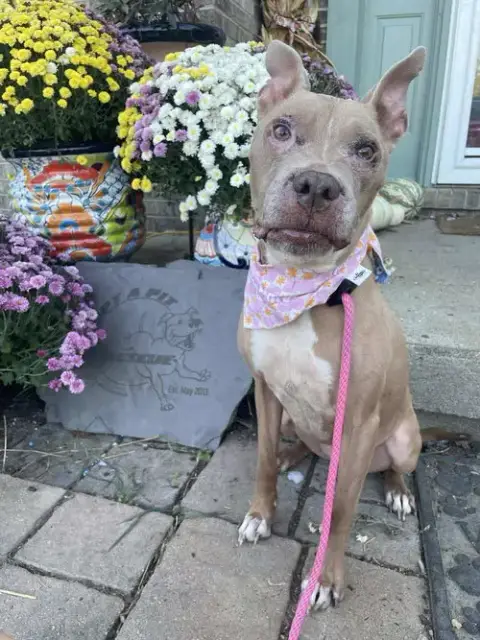 Baby Girl photo 5