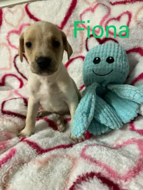 Fiona photo 2