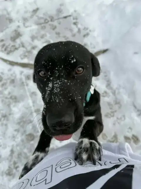 Zeus photo 5