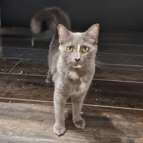 Delilah photo 3