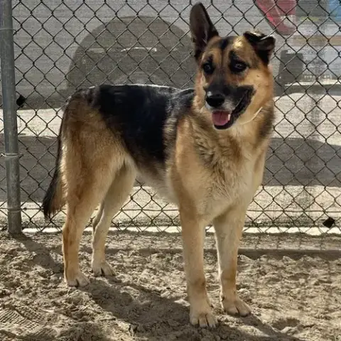 Luna