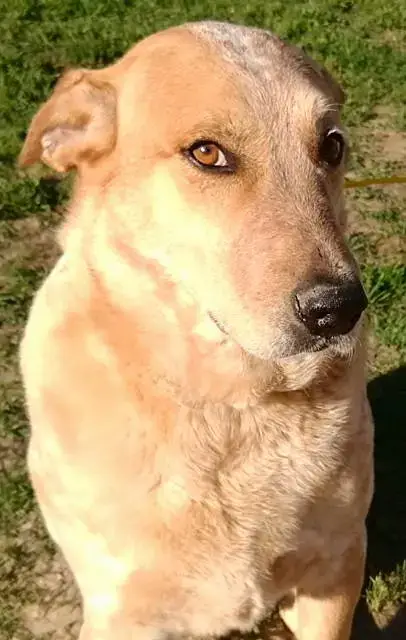 Brody photo 2