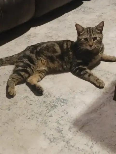 Oliver