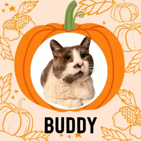 Buddy photo 3