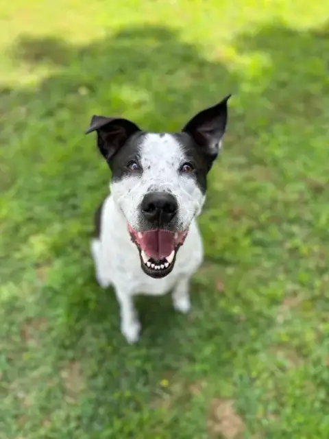 Bertha