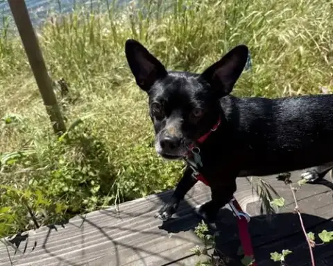 Billy