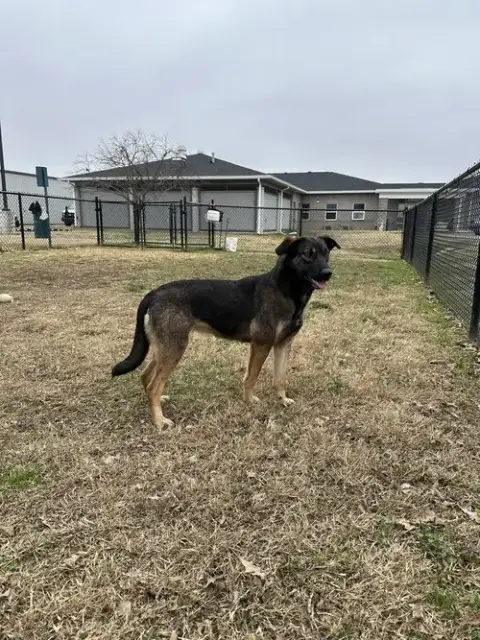 Zora "Hazel