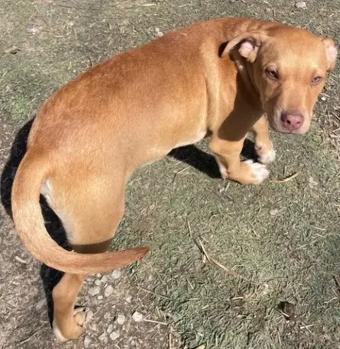 Jetson photo 3