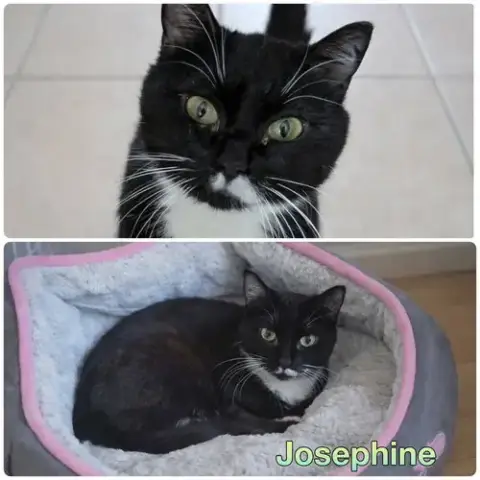Josephine