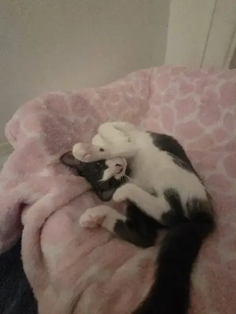 Mina photo 3