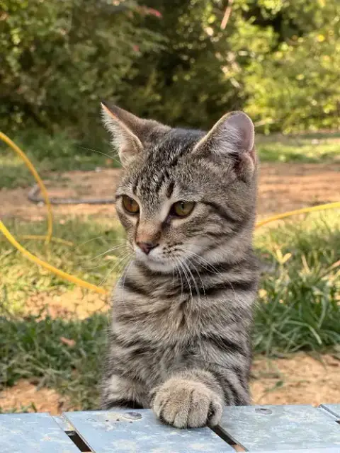 Little One photo 2