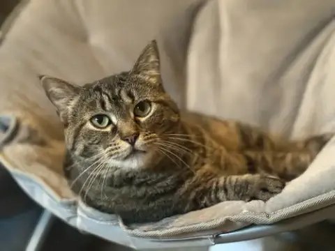 Maggie photo 5