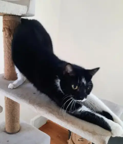 Blinky photo 3