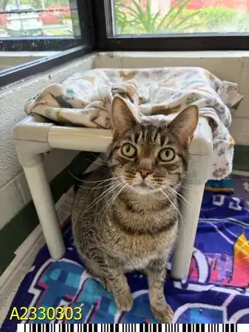 Max