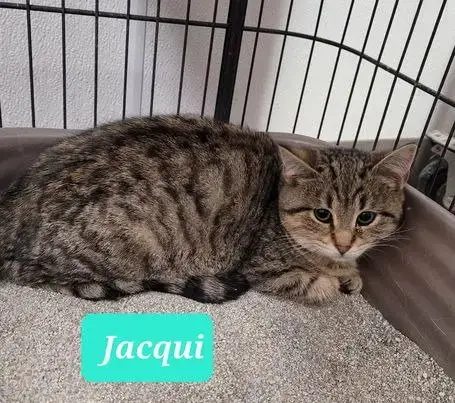 Jacqui-Sponsored photo 3