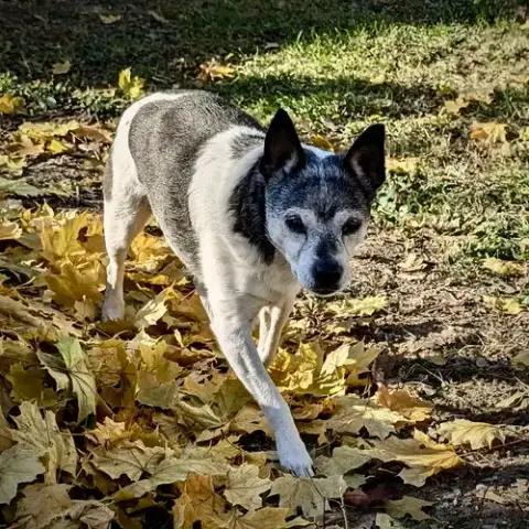 Molleigh photo 3