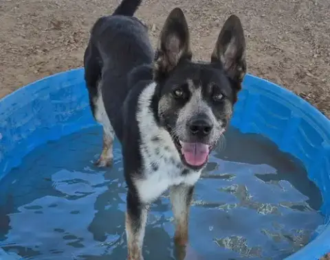 Zeus