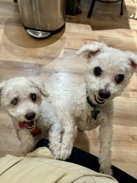 Max And Sophie