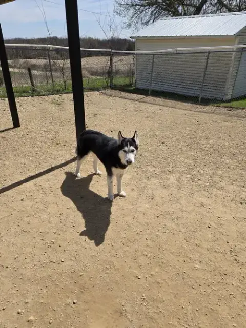 Tala photo 2