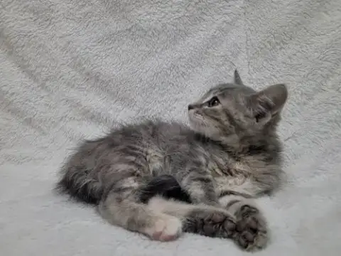 Mae photo 3