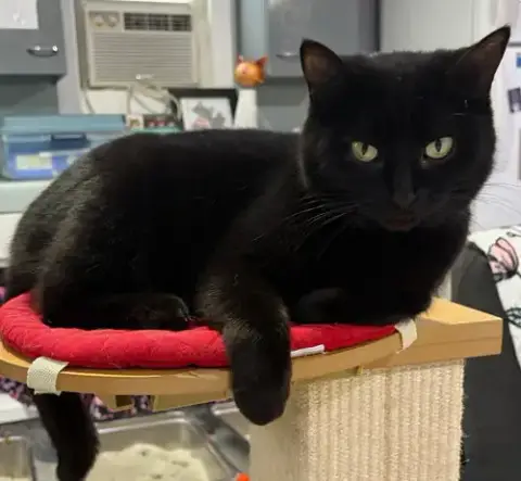 Sammi * In Foster *