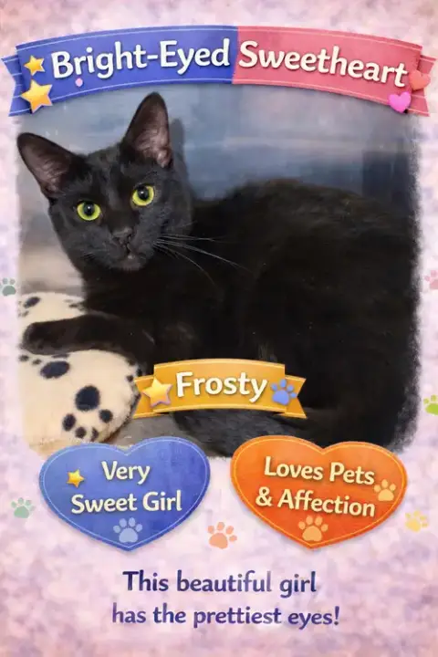 Frosty: Foster Requested