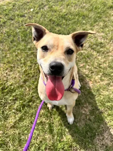 Bella