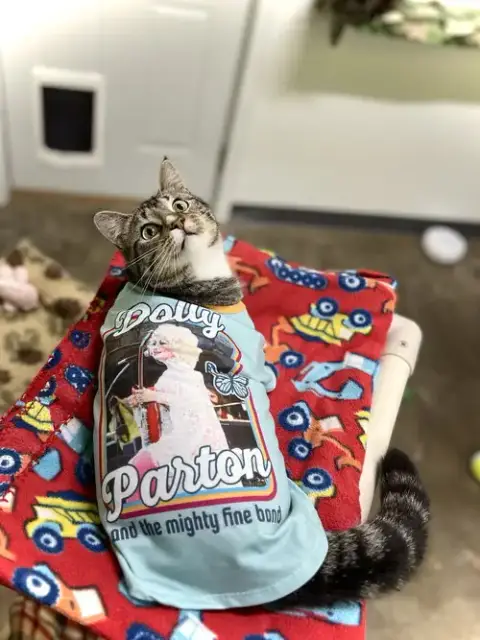 Dolly Purrton photo 4
