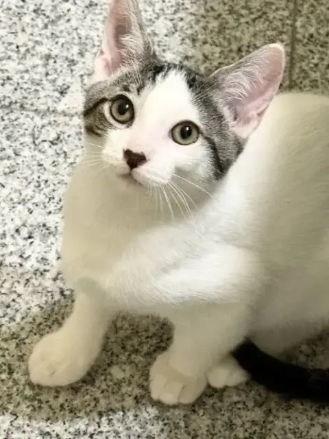 Tabasco photo 4