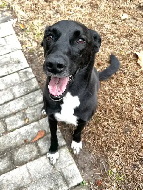 Bella photo 2