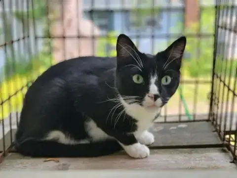 Tux photo 3