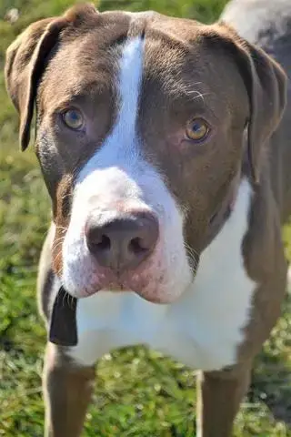 Titus