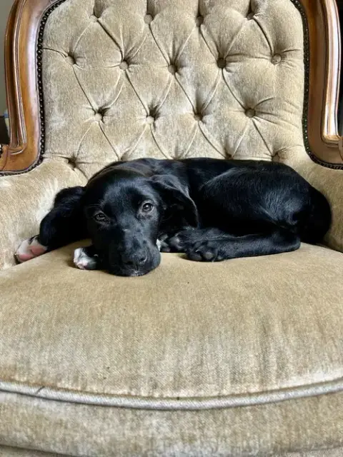 Jenny photo 2