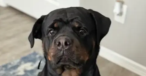 Kona