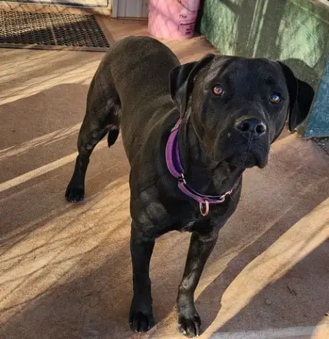 Matilda
