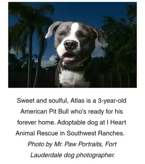 Atlas